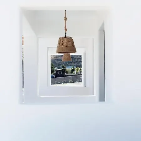 Aeron Willa Éxo Goniá